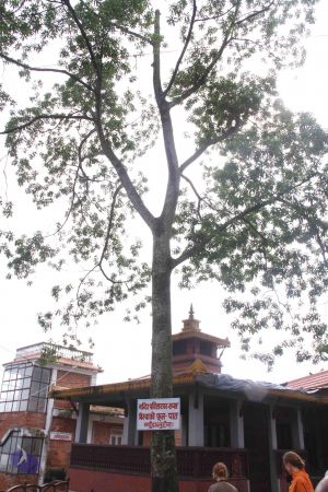 20110729 Photo 1195 18JlzbgCqVz3zXFJYUTpU4frn4CB1-QBQ.JPG