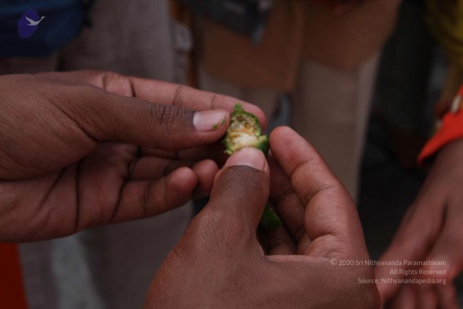 20110729 Photo 1196 1XvajUnlJcLMSBNTSgcfUQzo-a48uzWEg.JPG