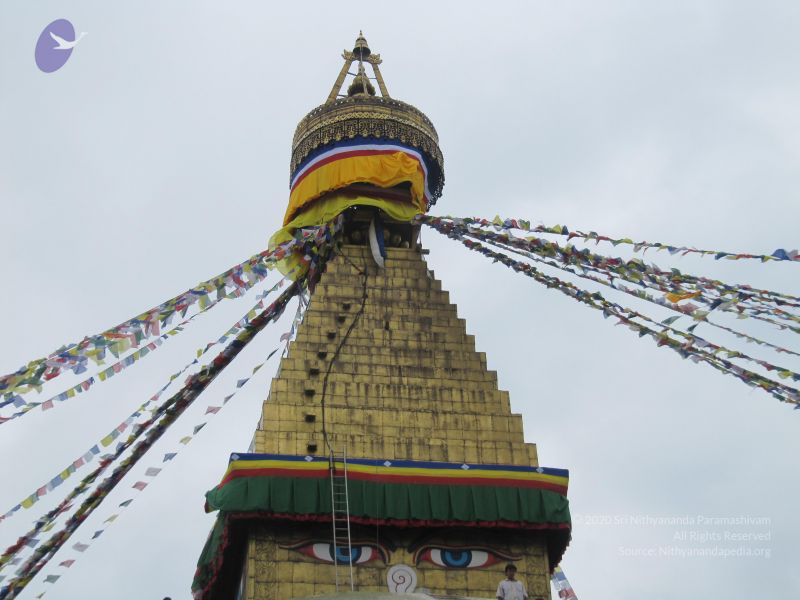 File:20110730 Photo 1016 1VVkFQXthiGfY5YMOV4uePCwh7WnYgW2L.JPG