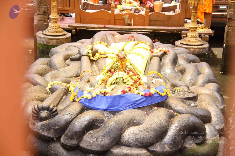 File:201107O1 Photo 1020 1ABNy9POCEwj9ypx-9fjxHKx05buMJeXK.JPG