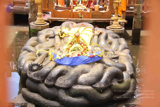 201107O1 Photo 1021 10WNgtDxS8h1Qj-fo-HoXfwlFbZkp73Cg.JPG