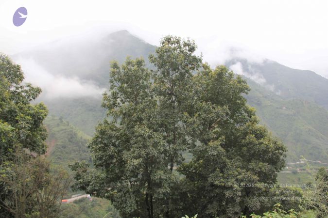 20110801 Photo 1074 1Gd5gBVuLa23RqCzBVYRt9e b4CfRevta.JPG