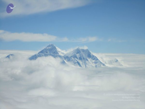 20110801 Photo 1283 1M8BqZabm5CQhHQrx8A-Eg0uC6BJ1Dajw.JPG