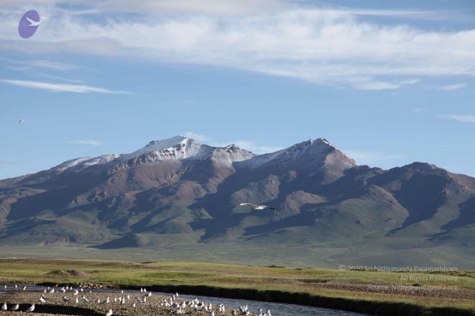 20110801 Photo 1605 176nQx20K5xO6kJbS4KoFDgAsr51vXgPx.JPG