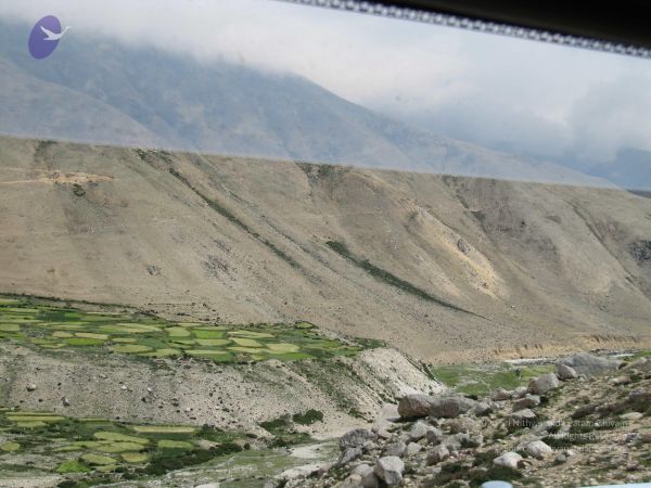 20110801 Photo 1768 1MopGPFfqt16ntEggUTY1vEFxBVNciyJI.JPG