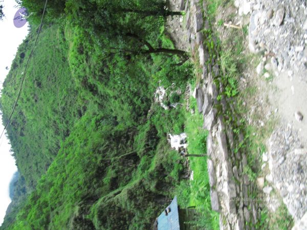 20110801 Photo 1804 1MvhZ586R5FsSXftyJVb1zCZqf4svcAE5.JPG