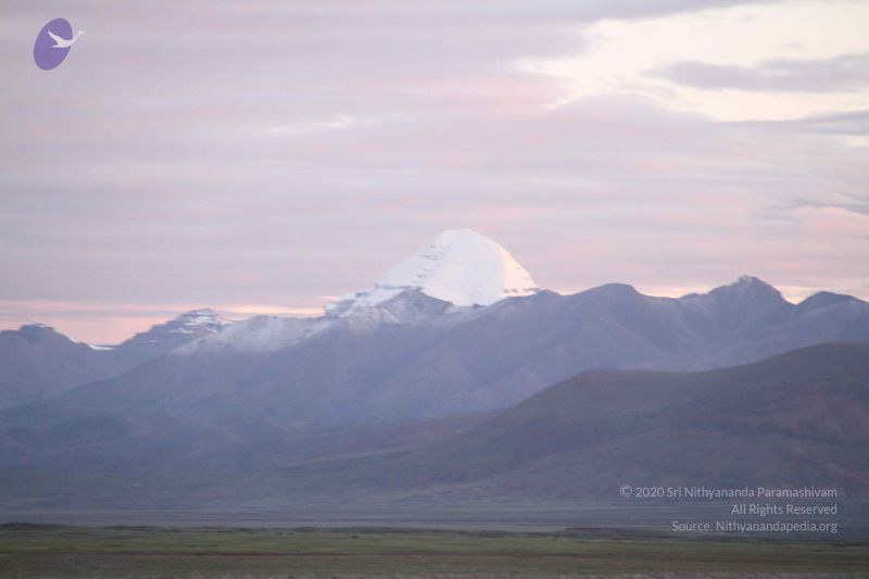 File:20110805 Photo 1045 1IG2-BjgBuDVrcLWbkmjFFHbymGy4AqIc.JPG