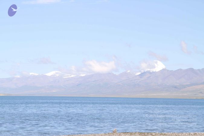 20110805 Photo 1260 1jQngQ Odj361H4Q4kQbKaFuvPfHMPwet.JPG