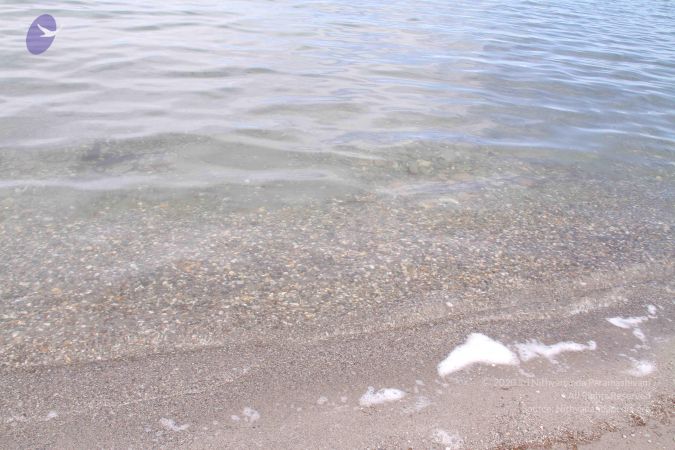 20110805 Photo 1277 1v1E4D SH18ln6K8TPKsEMplo04n2GUAw.JPG