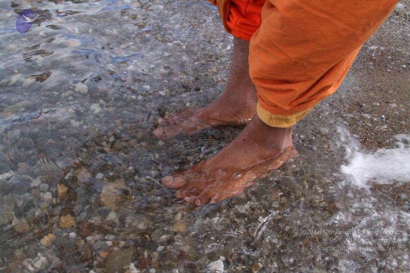 File:20110805 Photo 1349 1RPdGYq3w Im5686ZApSCuYNlPdzk8CcG.JPG