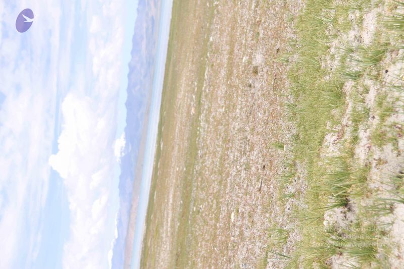 File:20110805 Photo 1529 19-NCmnuI p1imKmi5ppx 2UVAIoH12Ge.JPG