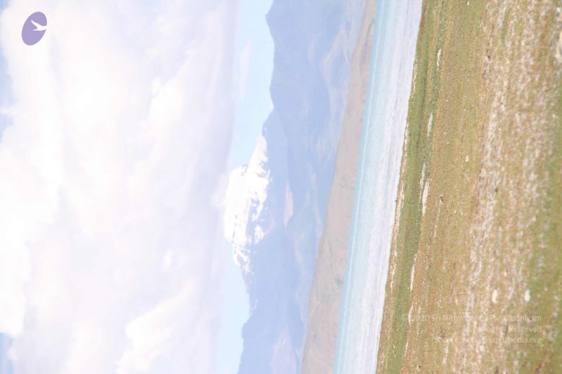 File:20110805 Photo 1530 1KQbX dip9HTTiYocqZtj7x2E egbNlbq.JPG