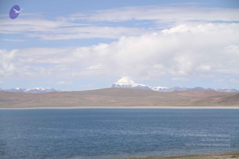 File:20110805 Photo 1653 1NEc7Nrvh92-oPOM11oVVckLtZ9e-t1 a.JPG