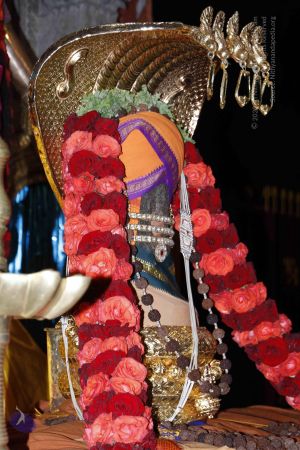 20110808 Photo 1071 1oyHIQSS8Vyyh-4v-XZFLG9IrSySk2Xhy.JPG