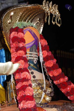 20110808 Photo 1072 1~ZZrApaeW8aERGs 96ClxGQQJWHEhfN.JPG