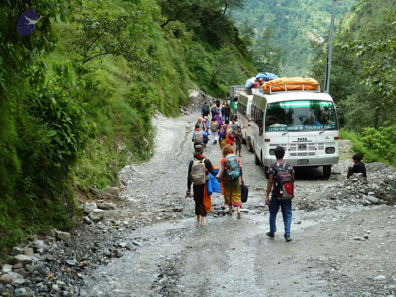 File:20110809 Photo 1023 1RJ99n0F4bFPpJ1cNhUJFj7ZoVd8C 681.JPG