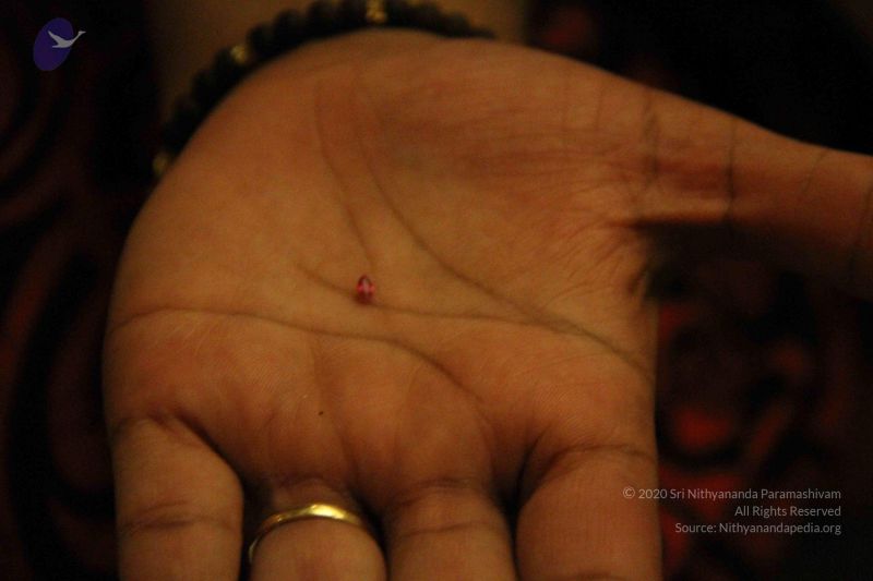 File:20110809 Photo 1047 1ZdBknrlzdyP-KxWNSs2FUJJsFg8KGDv3.JPG