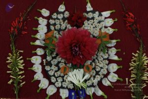 20110810 Photo 1021 1M9PJBSA1dF69junMrZAyBppQn5XKBze4.JPG