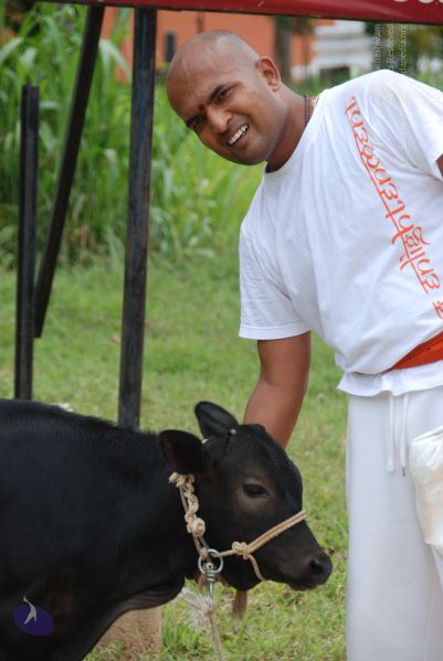 File:20110810 Photo 1022 1D9q57YyVJ2V44FTGId7F8lpKI9qrFGXD.JPG