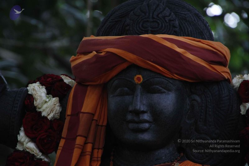 File:20110810 Photo 1035 16IvlGuIu6ohBPELOOtlNA7NmwCpdan-7.JPG