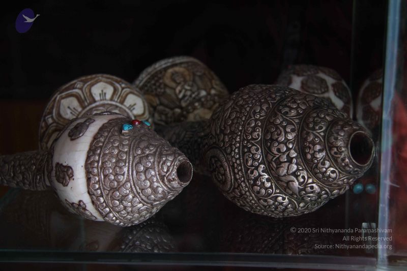 File:20110810 Photo 1044 1lzqxHrB9G8nhImbYZLJmF CaVNd6htyq.JPG