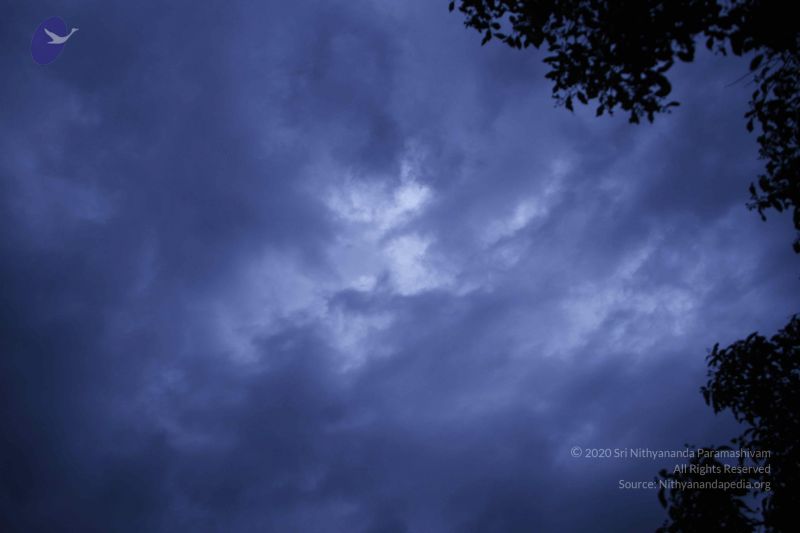 File:20110810 Photo 1057 1zXPbbTjzEoGA15GsT8koqEYkJLwRR3oi.JPG