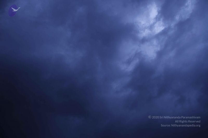 File:20110810 Photo 1060 1a gV8ypgNbfsEOXeHE4HQ6x9i5Y3DkO9.JPG