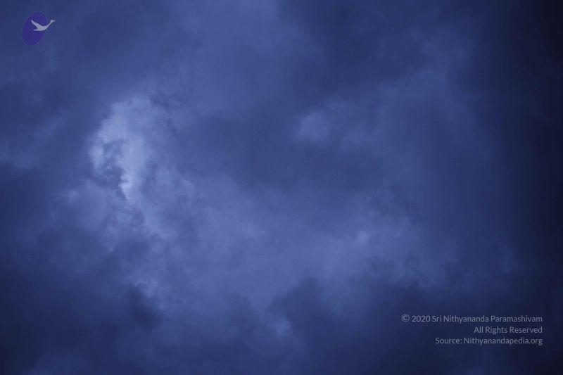 File:20110810 Photo 1065 14 iKoXHAxP1-ZwbZMeWykHCBbLqrK 2D.JPG