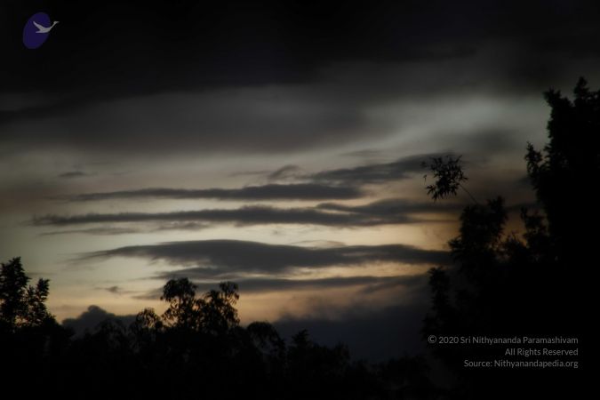 20110810 Photo 1068 1VIZuuoVn-NiJaXx1RHPYNqxVzhJy1pr4.JPG