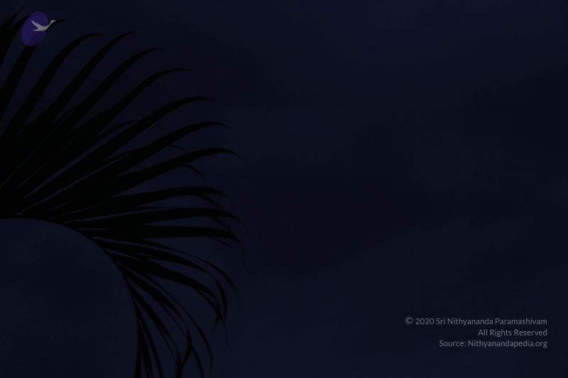 File:20110810 Photo 1072 1C5SR3p4mAVwI5A p DxWbkdFUe6CjhQF.JPG