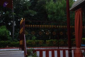 20110810 Photo 1133 1S6u3hD8Th9SXNvUPTMsUidB6ZJpgMVMH.JPG