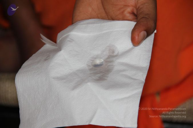 20110811 Photo 1001 1KmfKqwthmEcSXt9XNNpmdxDe0e VdU0N.JPG