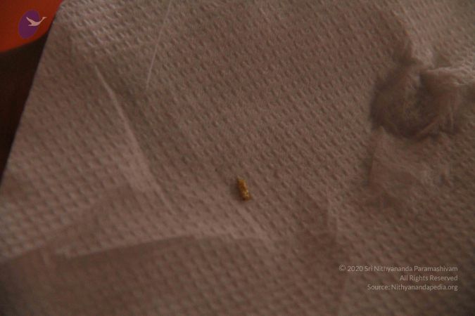 20110817 Photo 1113 15ajJNYK9d3w9H2QxECMLhlTMvy9QUoE6.JPG