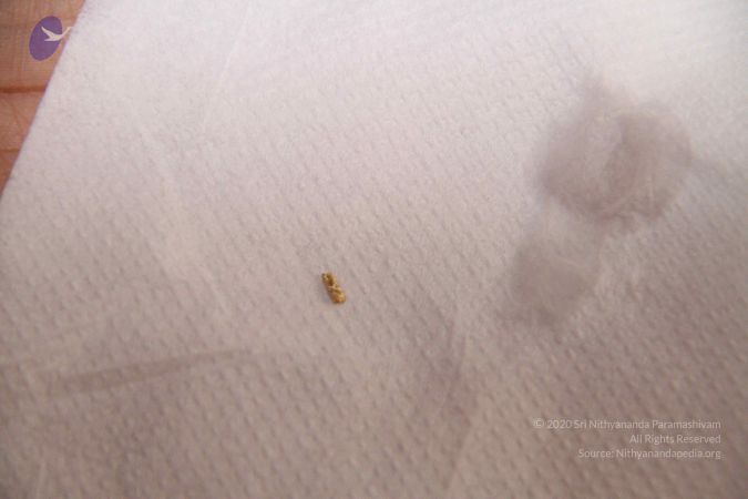 20110817 Photo 1115 12q85ZAmOw-ICQ56dgufaeceshRakj8e3.JPG