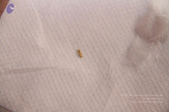 20110817 Photo 1118 1s8pz gn8 iMK5DwiipLm LLNTc7o1I5d.JPG