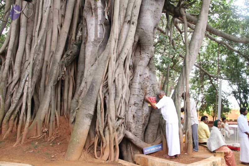 File:20110821 IMG 5617 CMP WM 01.jpg