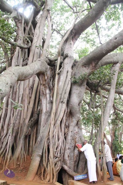 File:20110821 IMG 5618 CMP WM 01.jpg