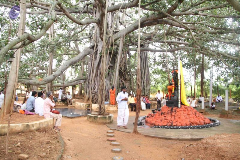 File:20110821 IMG 5621 CMP WM 01.jpg