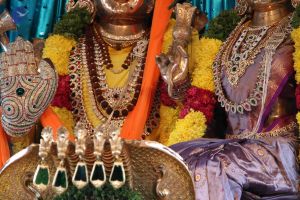 20110821 IMG 5635 CMP WM 01.jpg