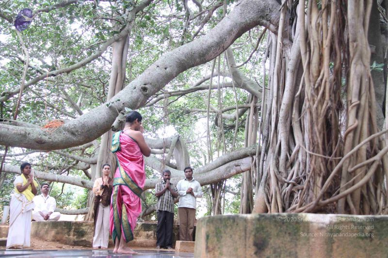 File:20110821 IMG 5662 CMP WM 01.jpg