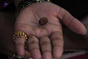 20110821 IMG 5708 CMP WM 01.jpg