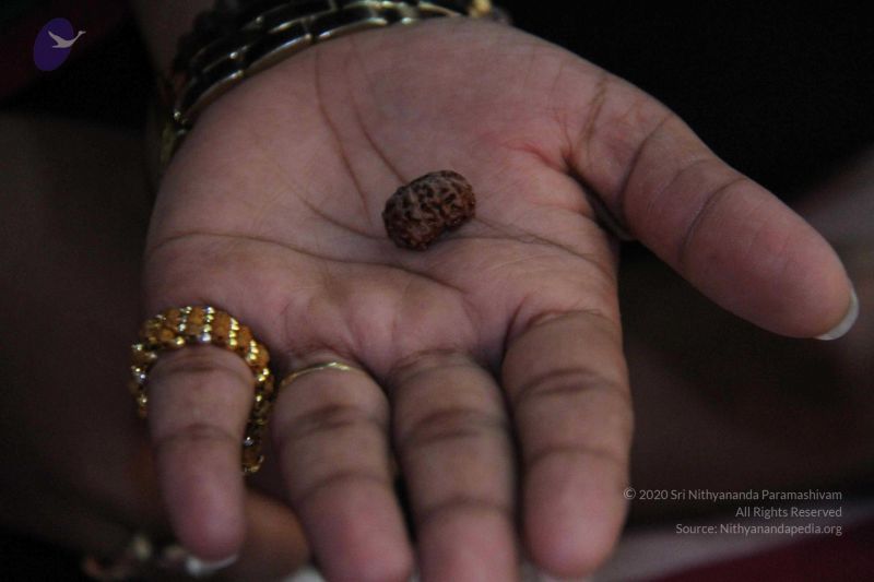 File:20110821 IMG 5708 CMP WM 01.jpg