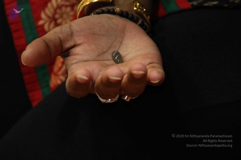 File:20110821 IMG 9004 CMP WM 0100.jpg