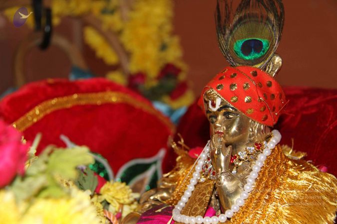 20110822 Photo 1015 1DPWmqe 1edZ9Tfz7yjHMvfS13RDEyfjk.JPG