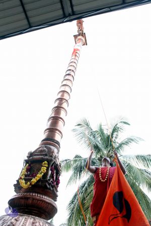 20110823IMG 0053 CMP WM001.jpg