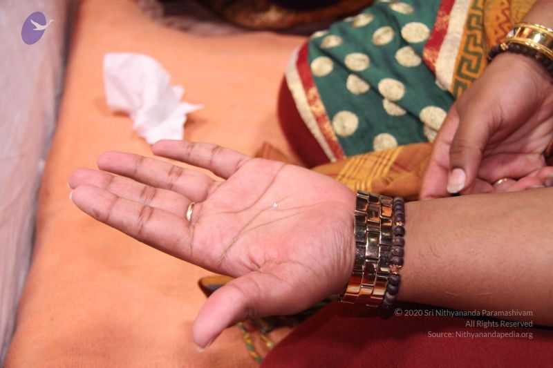 File:20110826 Photo 1067 1ZJ2RdWxVIRGWZRvv8FEJsw7 QqS8eu-r.JPG