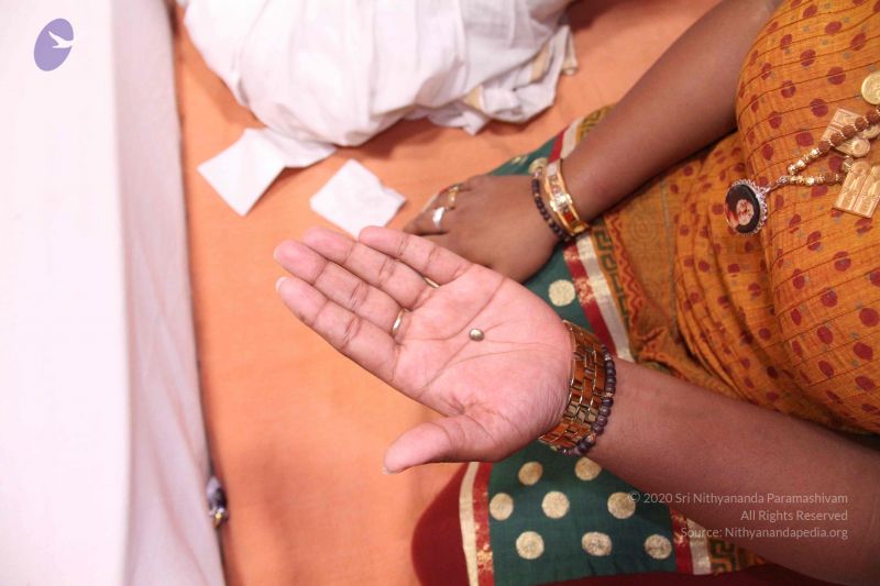 File:20110826 Photo 1069 1QtrSR7hj8j6ezd-UC2DMp7vjQDtcWxzX.JPG