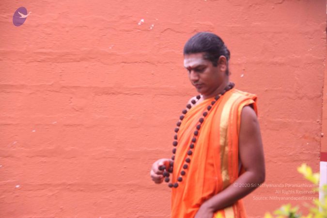 20110827 Photo 1006 1WeiEKg9qpV5zHeBHKhQyFuG-qmDtuF8A.JPG