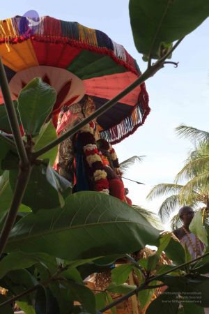 20110828 Photo 1065 1hWgkyN4R4UO00fxqLWEdQsJg-jEdomM0.JPG