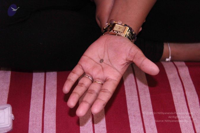 20110828 Photo 1120 1T6DrRQ-QWJpfDJvw6vPY61-KE17wn5Hh.JPG